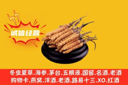 锦州凌海市回收冬虫夏草